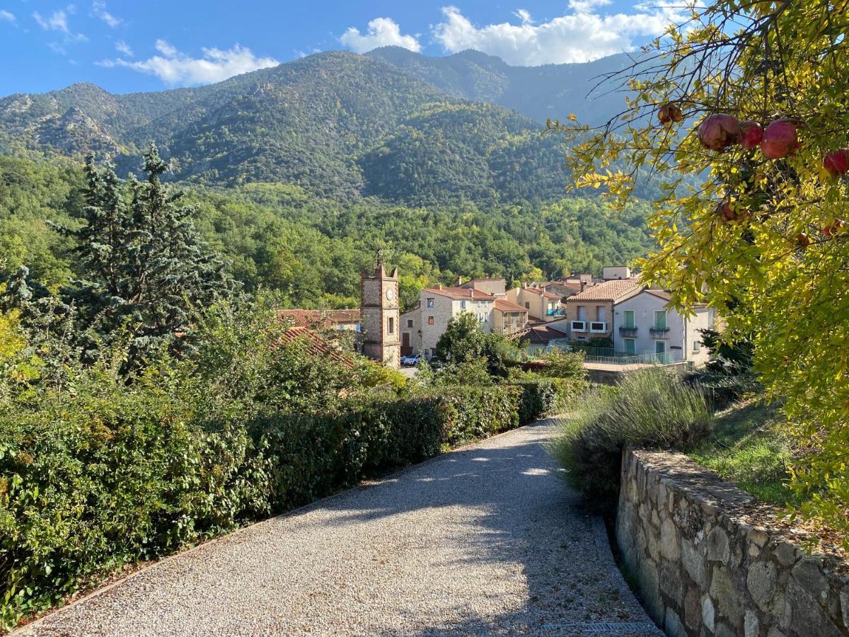 Appartement Et Studio Les Glycines Clara Kültér fotó